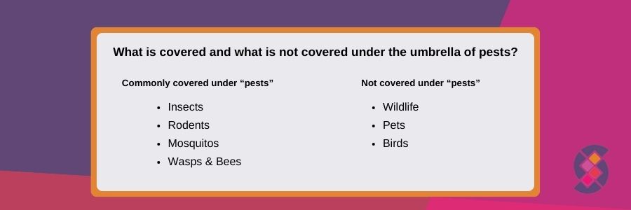 infographic regarding pest control in strata buildings